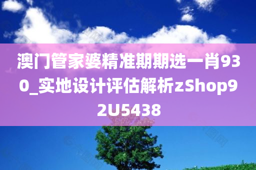 澳门管家婆精准期期选一肖930_实地设计评估解析zShop92U5438