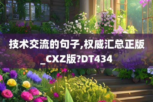 技术交流的句子,权威汇总正版_CXZ版?DT434