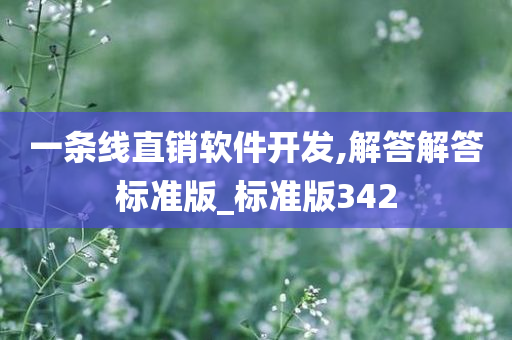 一条线直销软件开发,解答解答标准版_标准版342