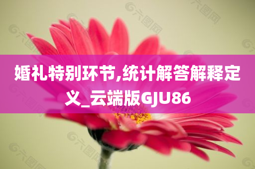 婚礼特别环节,统计解答解释定义_云端版GJU86