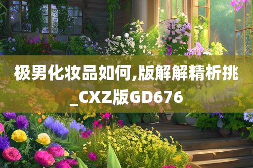 极男化妆品如何,版解解精析挑_CXZ版GD676