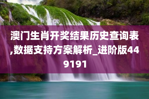 澳门生肖开奖结果历史查询表,数据支持方案解析_进阶版449191