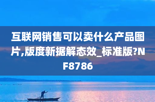 互联网销售可以卖什么产品图片,版度新据解态效_标准版?NF8786