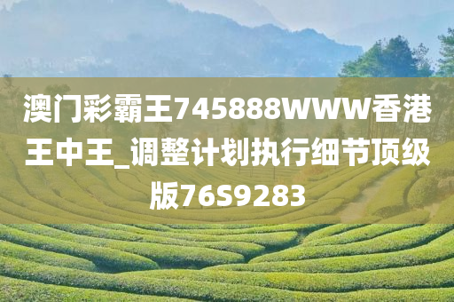 澳门彩霸王745888WWW香港王中王_调整计划执行细节顶级版76S9283