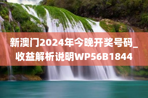 新澳门2024年今晚开奖号码_收益解析说明WP56B1844