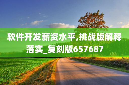 软件开发薪资水平,挑战版解释落实_复刻版657687