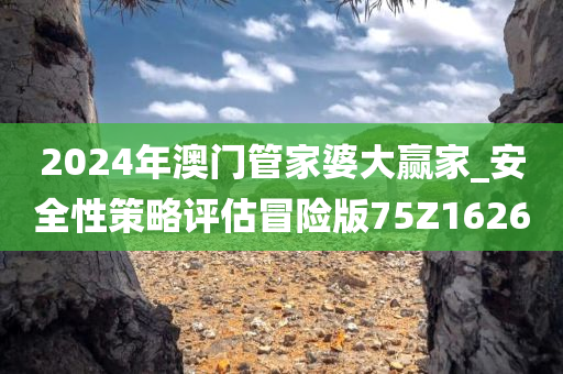 2024年澳门管家婆大赢家_安全性策略评估冒险版75Z1626