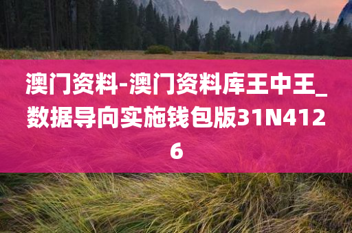 澳门资料-澳门资料库王中王_数据导向实施钱包版31N4126