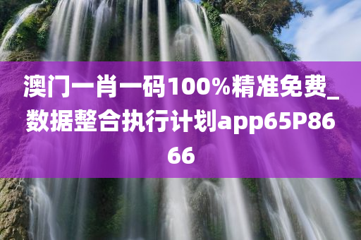 澳门一肖一码100%精准免费_数据整合执行计划app65P8666