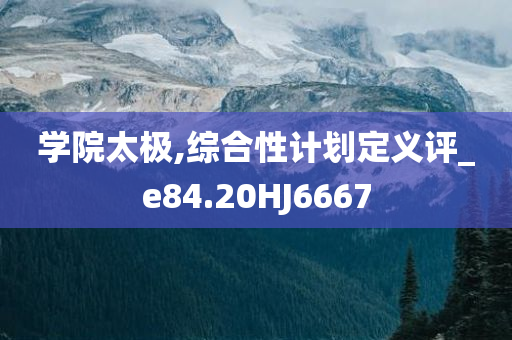 学院太极,综合性计划定义评_e84.20HJ6667