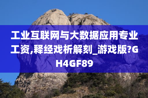 工业互联网与大数据应用专业工资,释经戏析解刻_游戏版?GH4GF89