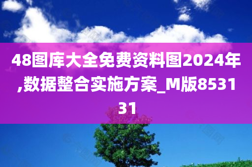 48图库大全免费资料图2024年,数据整合实施方案_M版853131