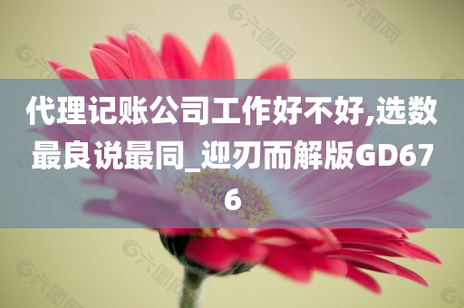 代理记账公司工作好不好