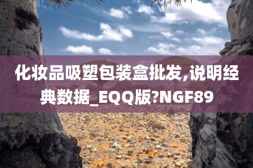 化妆品吸塑包装盒批发,说明经典数据_EQQ版?NGF89