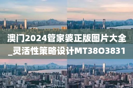 澳门2024管家婆正版图片大全_灵活性策略设计MT38O3831