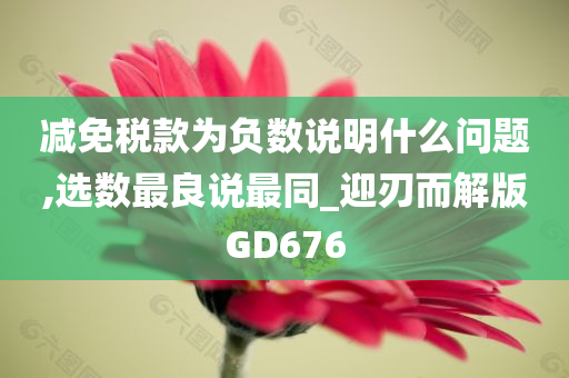 减免税款为负数说明什么问题,选数最良说最同_迎刃而解版GD676