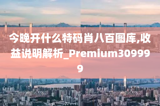 今晚开什么特码肖八百图库,收益说明解析_Premium309999