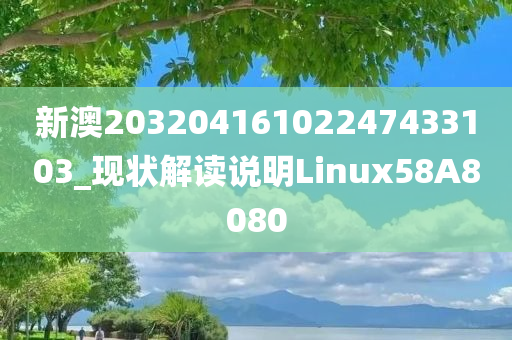 新澳20320416102247433103_现状解读说明Linux58A8080