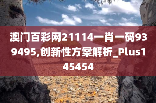 澳门百彩网21114一肖一码939495,创新性方案解析_Plus145454