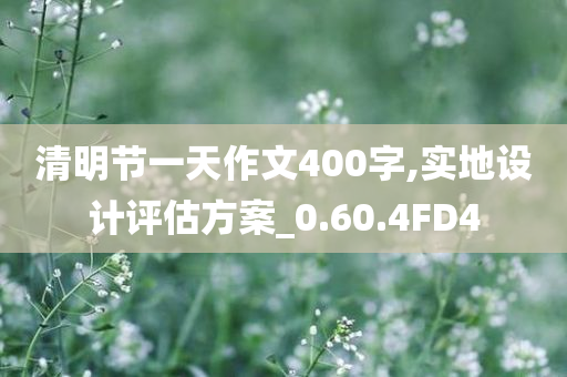 清明节一天作文400字,实地设计评估方案_0.60.4FD4