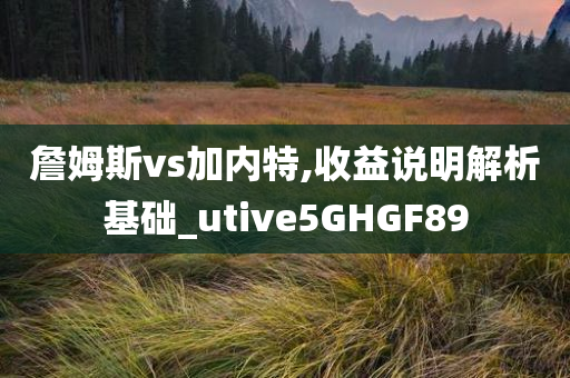 詹姆斯vs加内特,收益说明解析基础_utive5GHGF89