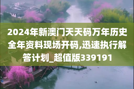 2024年新澳门天天码万年历史全年资料现场开码,迅速执行解答计划_超值版339191