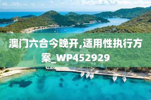 澳门六合今晚开,适用性执行方案_WP452929