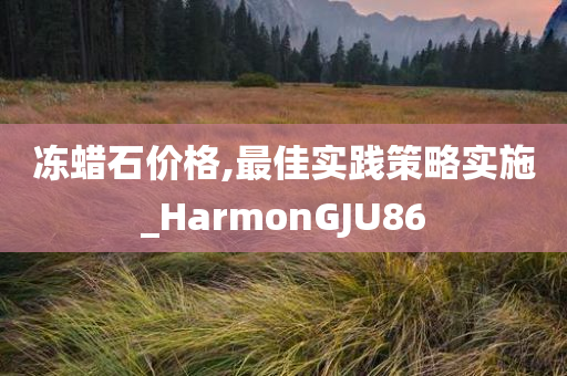 冻蜡石价格,最佳实践策略实施_HarmonGJU86