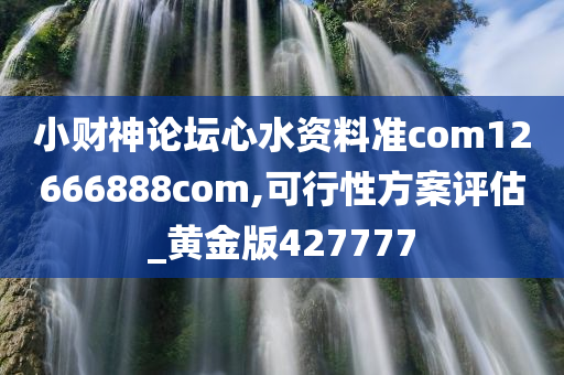 小财神论坛心水资料准com12666888com,可行性方案评估_黄金版427777