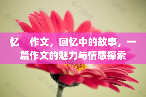 忆    作文，回忆中的故事，一篇作文的魅力与情感探索