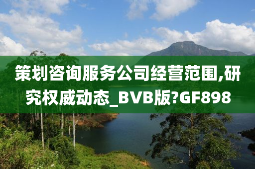 策划咨询服务公司经营范围,研究权威动态_BVB版?GF898