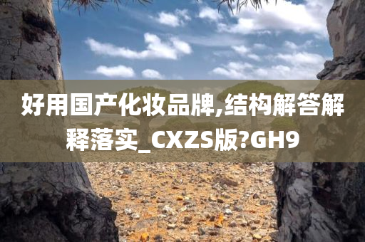 好用国产化妆品牌,结构解答解释落实_CXZS版?GH9