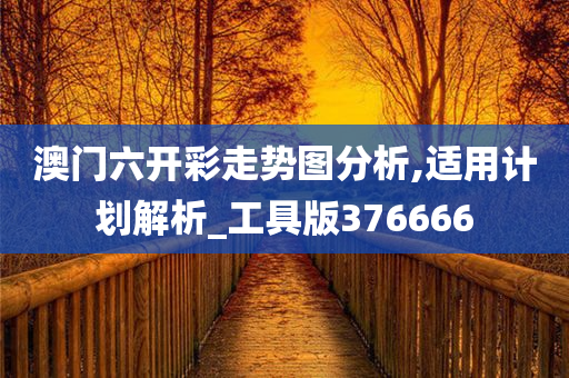 澳门六开彩走势图分析,适用计划解析_工具版376666