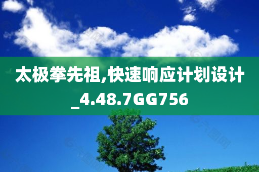 太极拳先祖,快速响应计划设计_4.48.7GG756