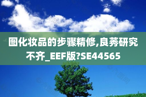 图化妆品的步骤精修,良莠研究不齐_EEF版?SE44565