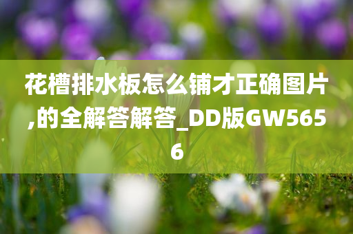 花槽排水板怎么铺才正确图片,的全解答解答_DD版GW5656