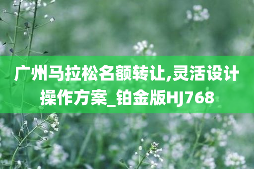 广州马拉松名额转让,灵活设计操作方案_铂金版HJ768