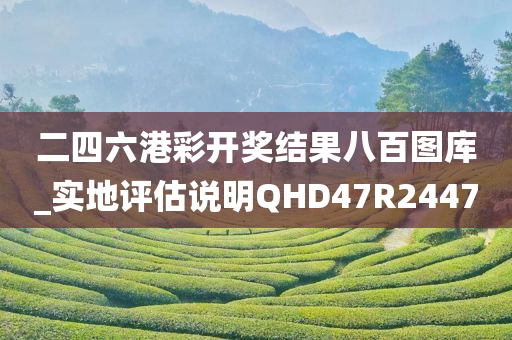 二四六港彩开奖结果八百图库_实地评估说明QHD47R2447