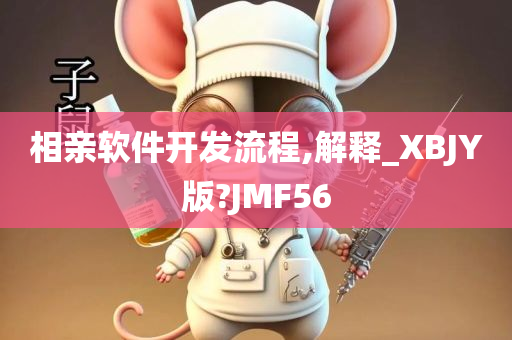 相亲软件开发流程,解释_XBJY版?JMF56