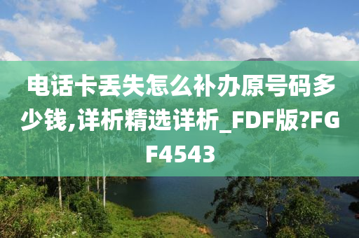 电话卡丢失怎么补办原号码多少钱,详析精选详析_FDF版?FGF4543