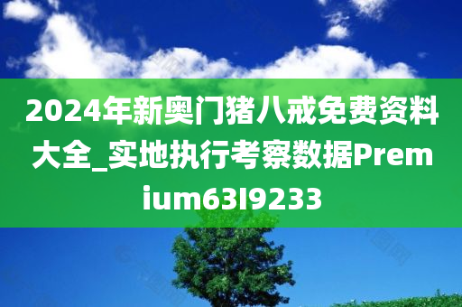 2024年新奥门猪八戒免费资料大全_实地执行考察数据Premium63I9233