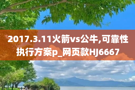 2017.3.11火箭vs公牛,可靠性执行方案p_网页款HJ6667