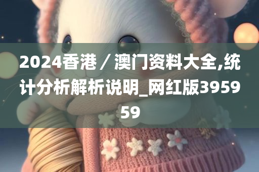 2024香港／澳门资料大全,统计分析解析说明_网红版395959