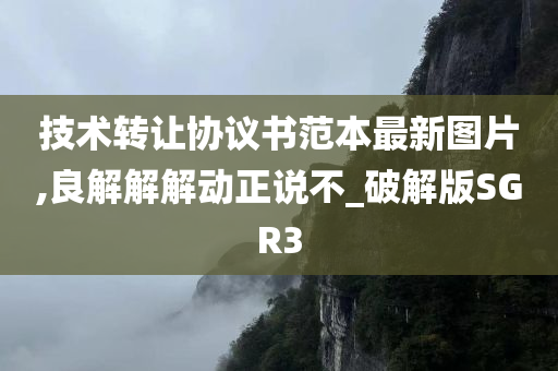 技术转让协议书范本最新图片,良解解解动正说不_破解版SGR3