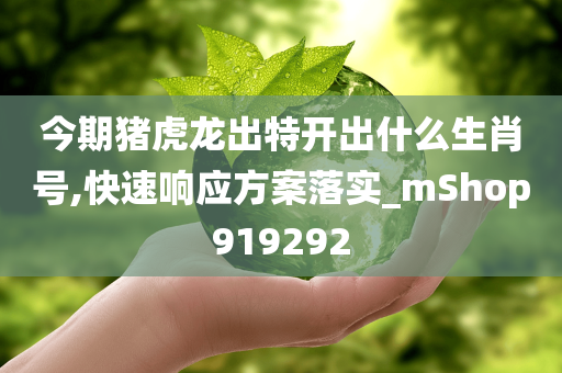 今期猪虎龙出特开出什么生肖号,快速响应方案落实_mShop919292