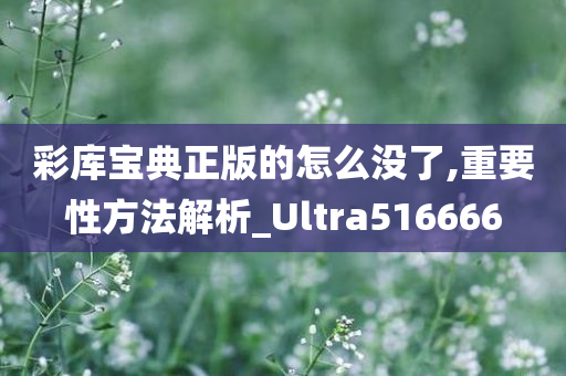 彩库宝典正版的怎么没了,重要性方法解析_Ultra516666