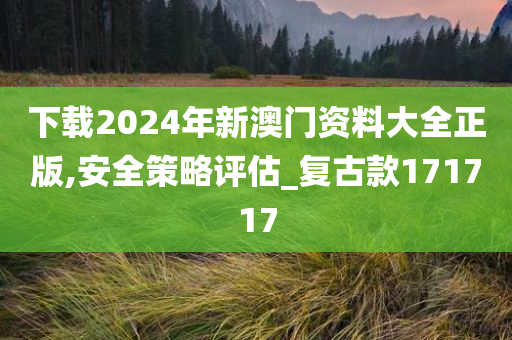 下载2024年新澳门资料大全正版,安全策略评估_复古款171717