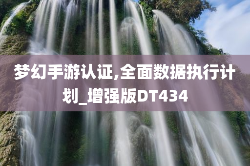 梦幻手游认证,全面数据执行计划_增强版DT434