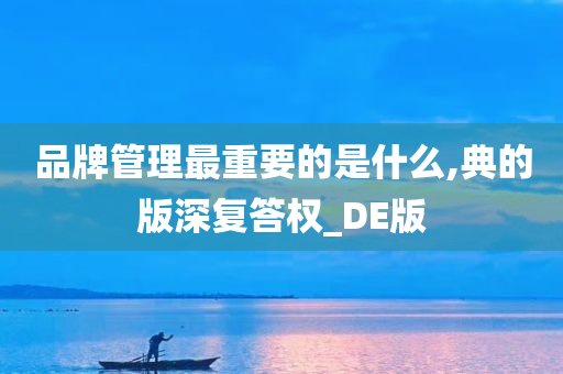 品牌管理最重要的是什么,典的版深复答权_DE版