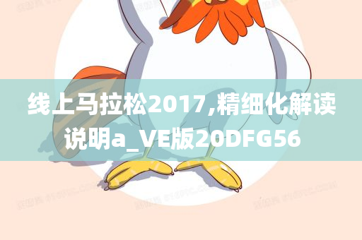 线上马拉松2017,精细化解读说明a_VE版20DFG56